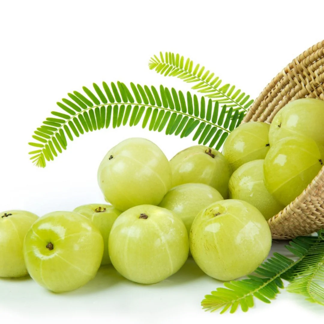 Amla (आँवला)